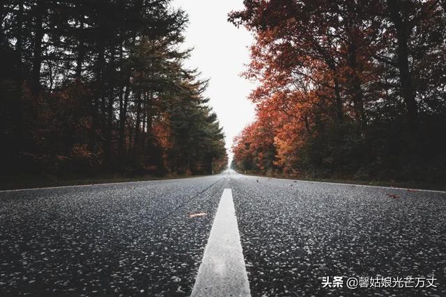 七上八下路繁多，路况不熟易走错打一正确生肖详细解答、解释与落实、前沿解答解释落实