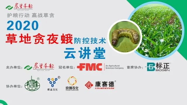 龙飞凤舞喜逢时,三石四草喜牛羊是什么生肖与警惕虚假宣传-全面释义、综合解答解释落实